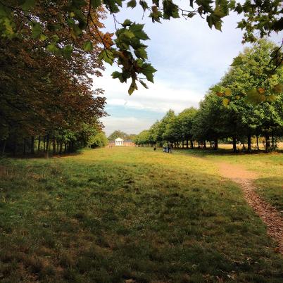 Wanstead Park